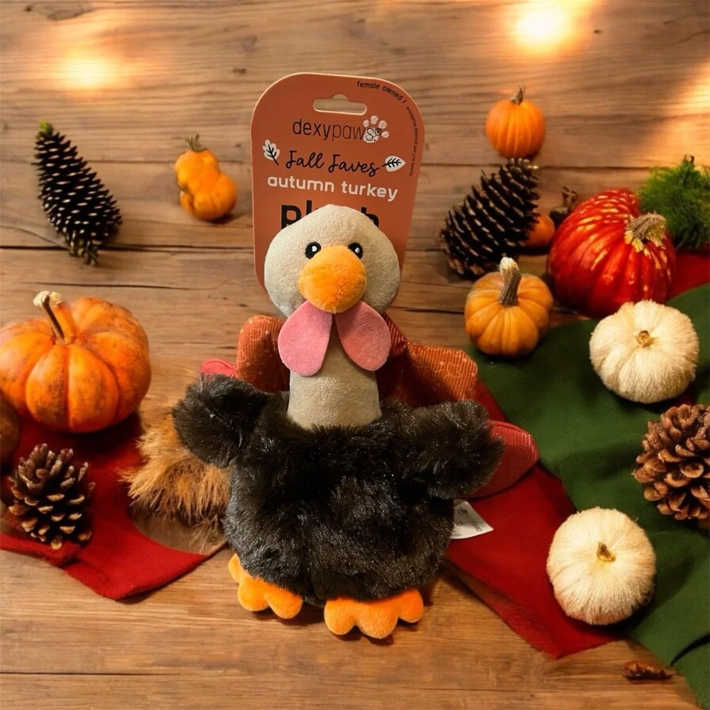 🆕 Dexy Paws Turkey Dog Toy
