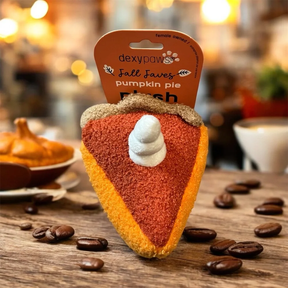 🆕 Dexy Paws Pumpkin Pie Dog Toy