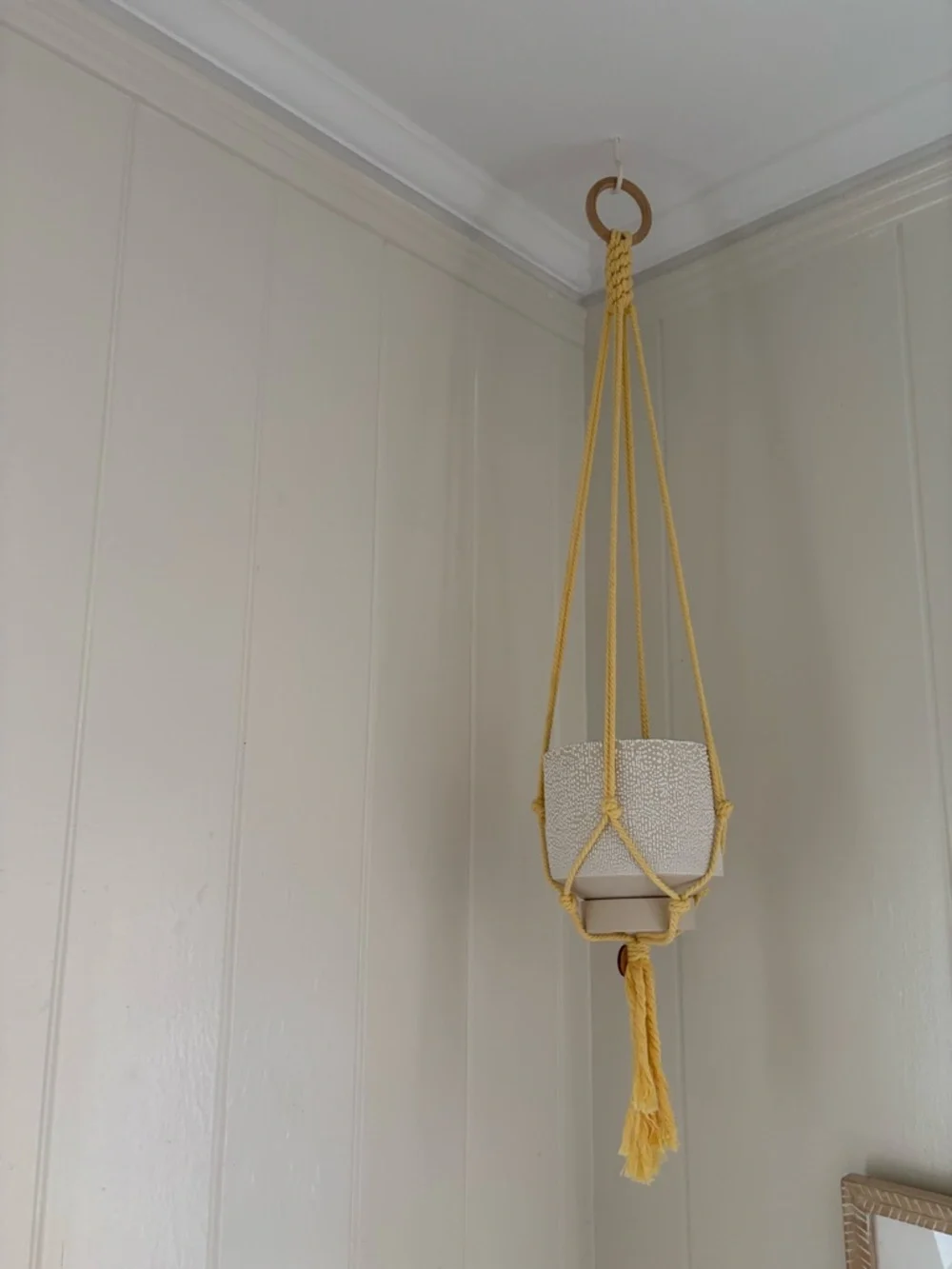 Yellow Macramé Hanging Plant Holder