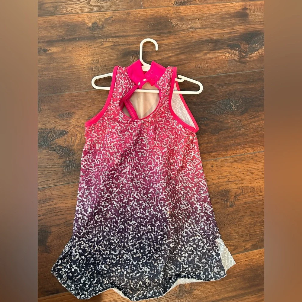Balera Pink and Gray Sequined Costume