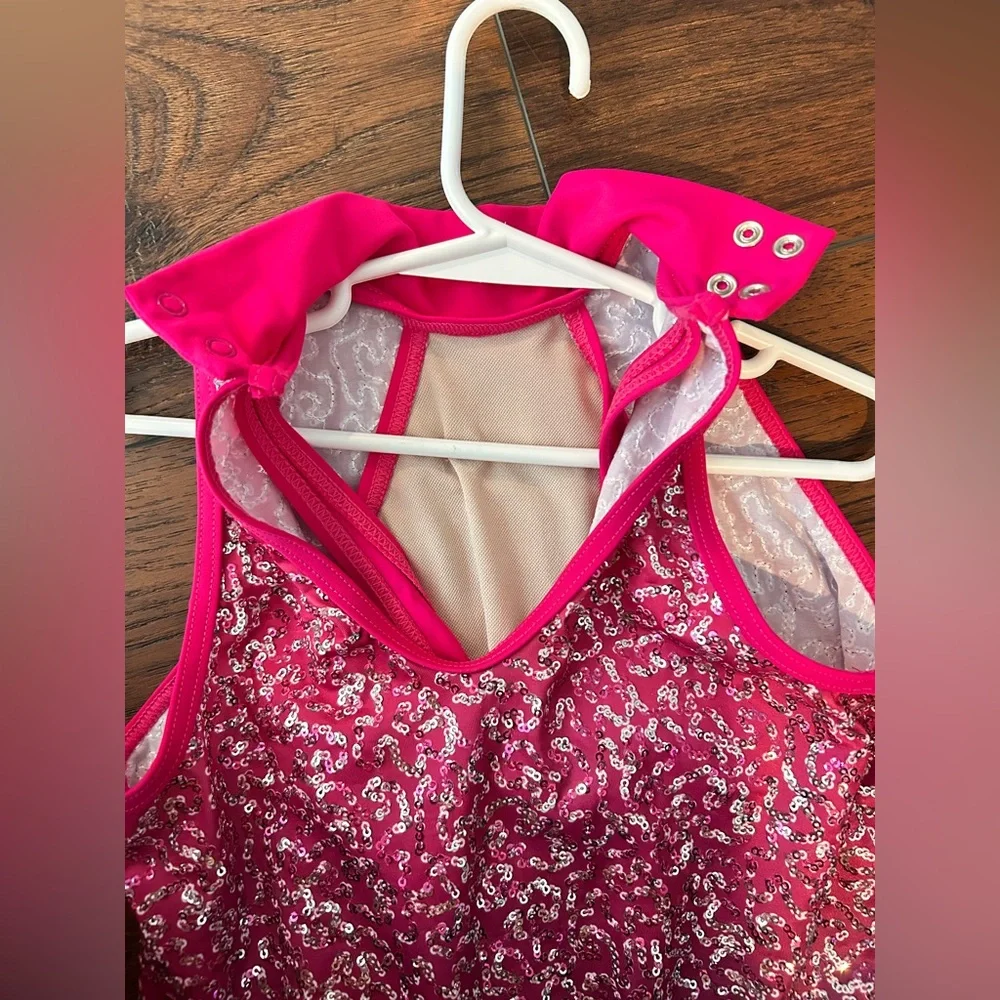 Balera Pink and Gray Sequined Costume