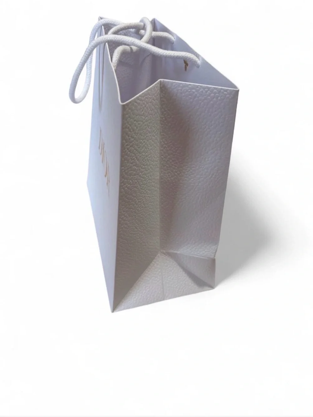 Dior White Paper Gift Bag with Gold Logo