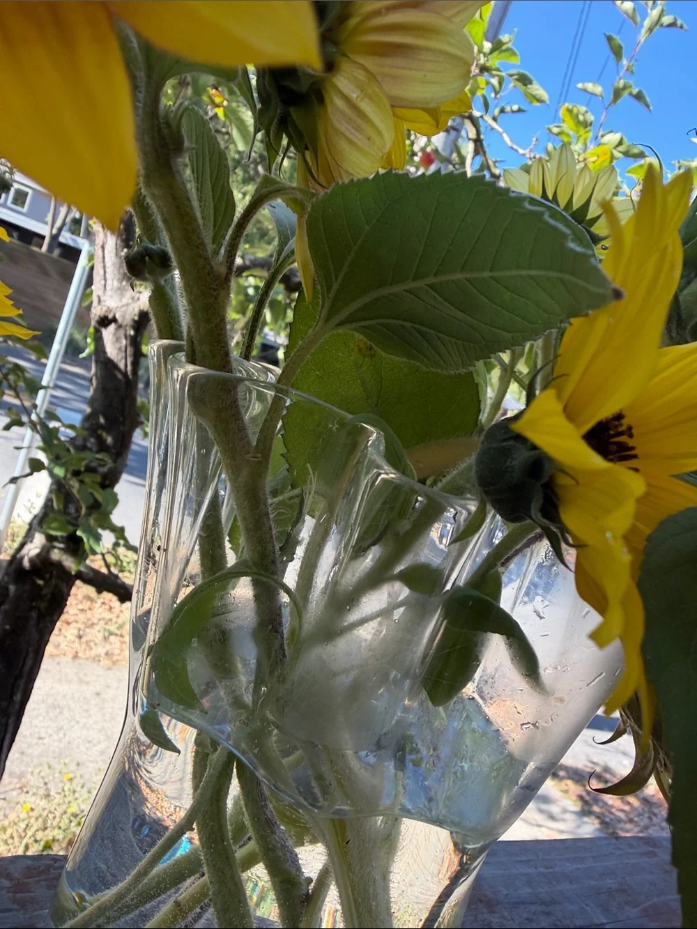 Clear Ruffle-Edge Glass Vase - Elegant Table Accent Vintage 8” tall